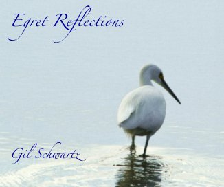 Egret Reflections book cover