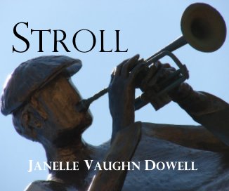 Stroll book cover