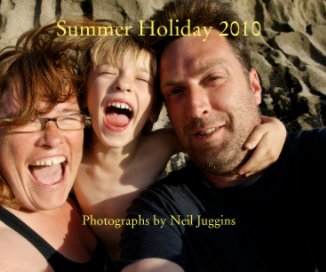Summer Holiday 2010 book cover
