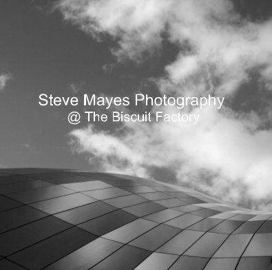 Steve Mayes Photography @ The Biscuit Factory book cover