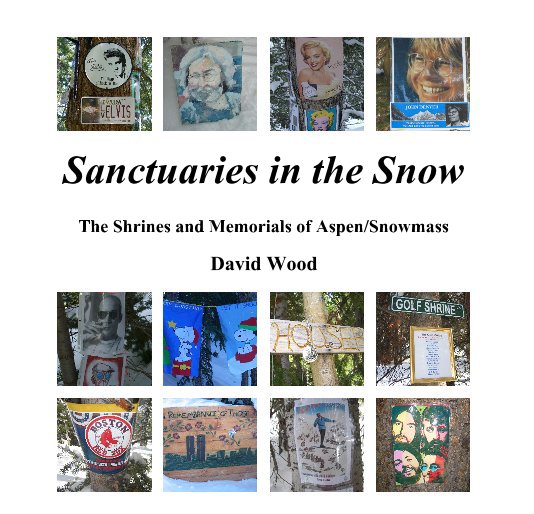 View Sanctuaries in the Snow by David Wood