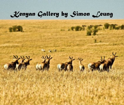 Kenyan Gallery by Simon Leung book cover