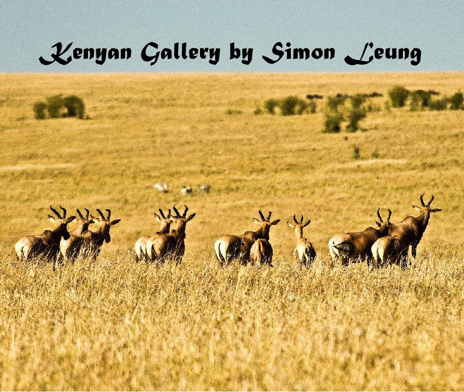 Ver Kenyan Gallery by Simon Leung por sleung99