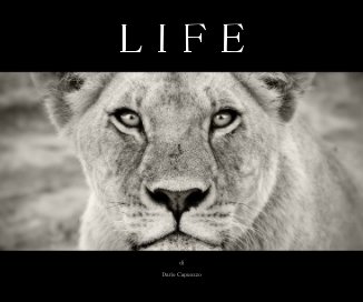 LIFE book cover