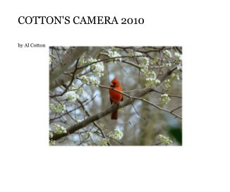 COTTON'S CAMERA 2010 book cover