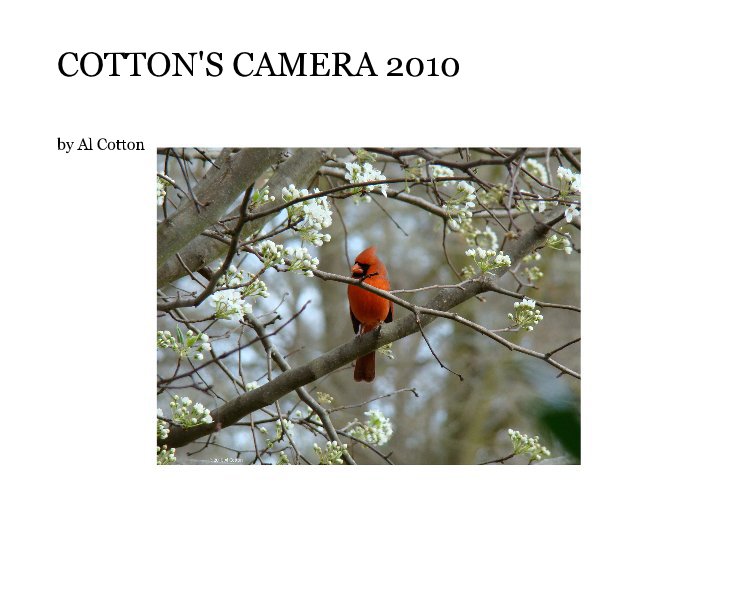 View COTTON'S CAMERA 2010 by Al Cotton