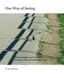 One Way of Seeing book cover