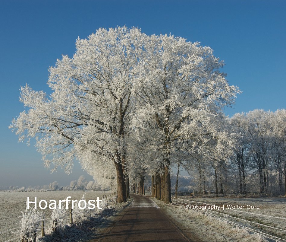 View Hoarfrost by Photography | Wolter Oord