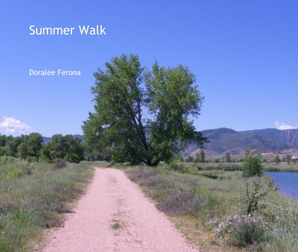 Summer Walk book cover
