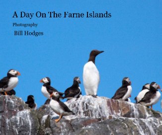 A Day On The Farne Islands book cover