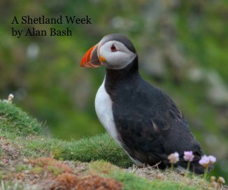 A Shetland Week by Alan Bash book cover