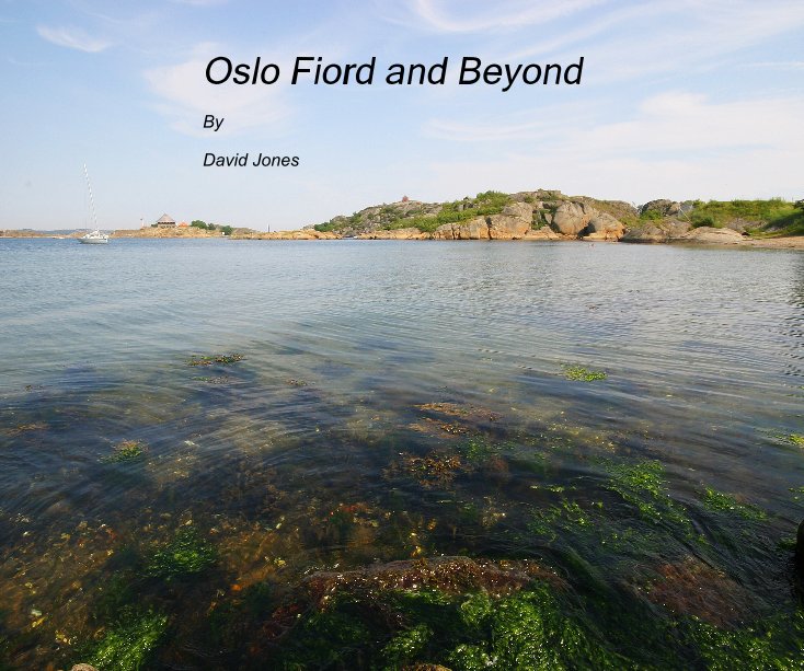 View Oslo Fiord and Beyond by David Jones