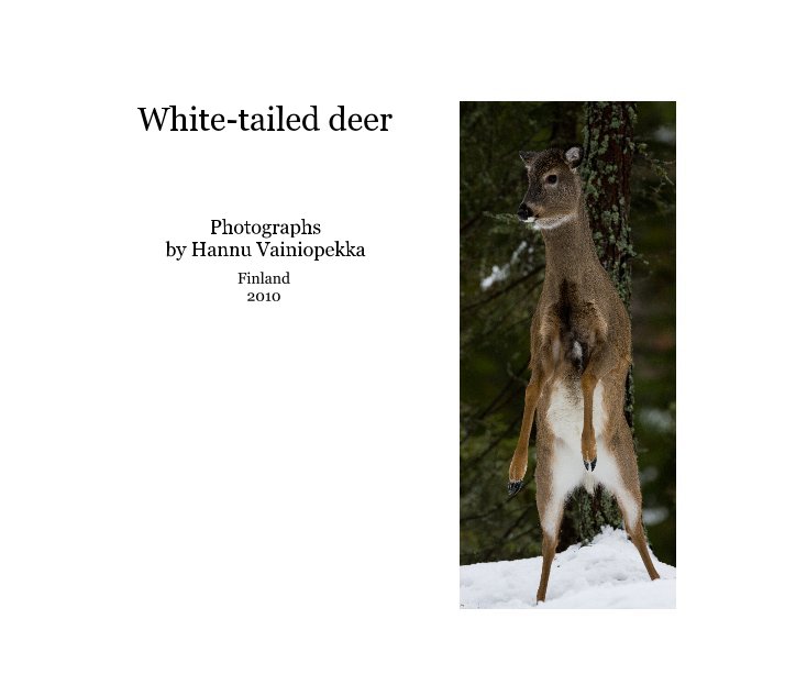Ver White-tailed deer por Photographs by Hannu Vainiopekka