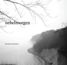 nebelmorgen book cover