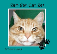 Sam Sat Cat Sat book cover