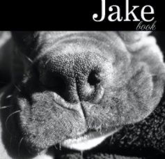 Jake book book cover