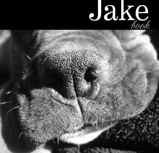 Ver Jake book por Elena Searcy