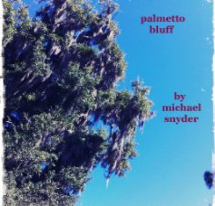palmetto
                                                       bluff





                                                                 by
                                                            michael
                                                             snyder book cover