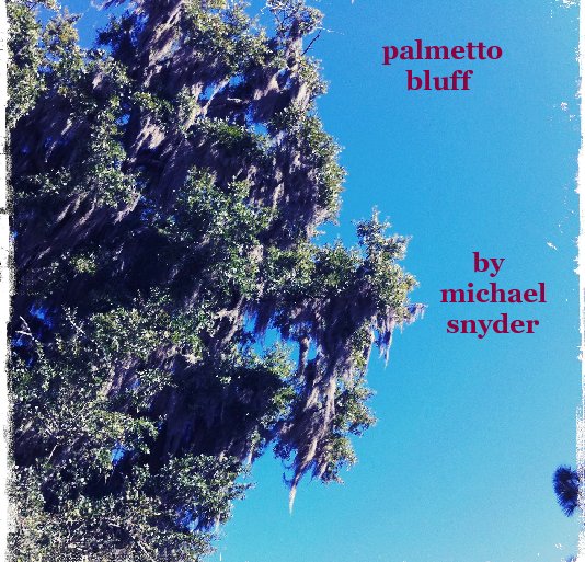 View palmetto
                                                       bluff





                                                                 by
                                                            michael
                                                             snyder by rnrmd1