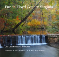 Fun in Floyd County Virginia book cover