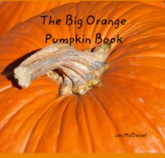 The Big Orange  Pumpkin Book book cover