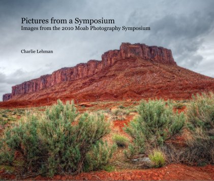 Pictures from a Symposium book cover
