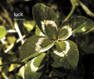 luck book cover