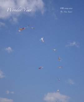 Wonder Year book cover