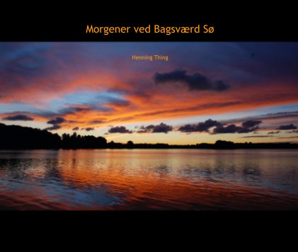 Morgener ved Bagsværd Sø book cover