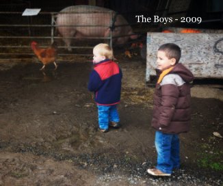 The Boys - 2009 book cover