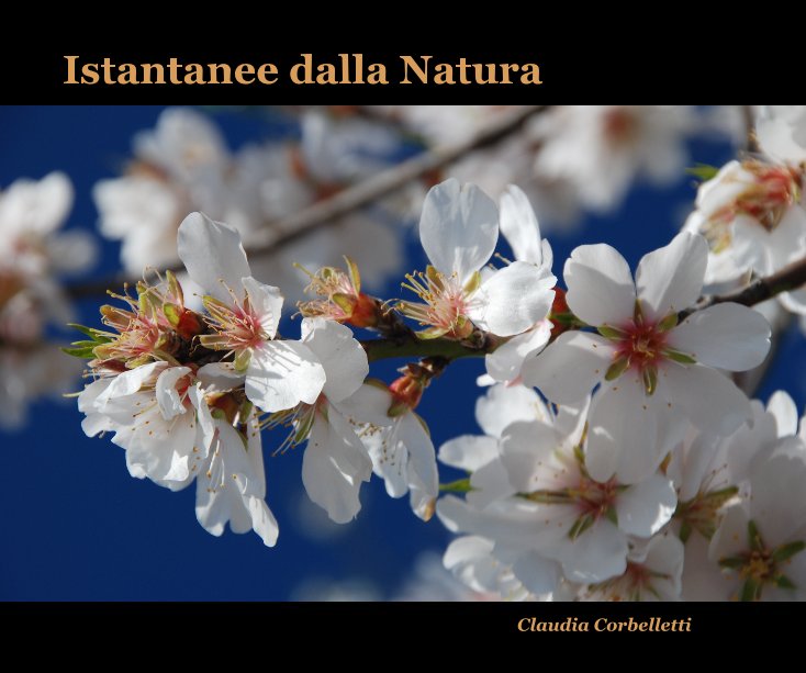 Visualizza Istantanee dalla Natura di Claudia Corbelletti
