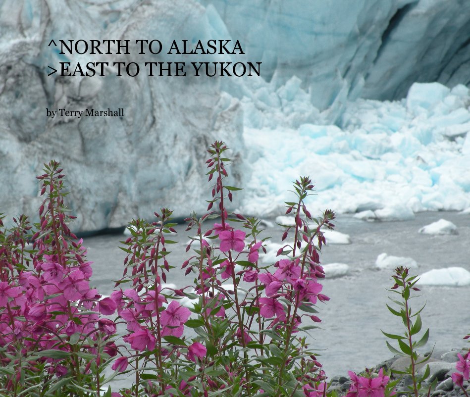View North to Alaska East to the Yukon by Terry Marshall