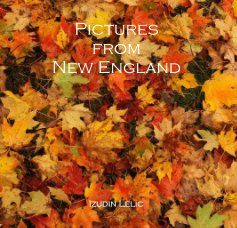 Pictures from New England book cover