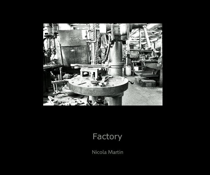 View Factory by Nicola Martin
