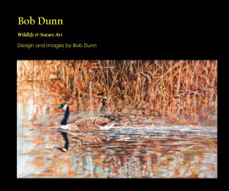 Bob Dunn book cover