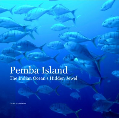 Pemba Island The Indian Ocean's Hidden Jewel book cover