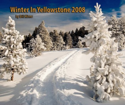 Winter In Yellowstone book cover