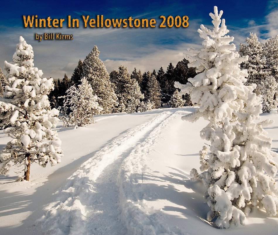 View Winter In Yellowstone by Bill Kirms