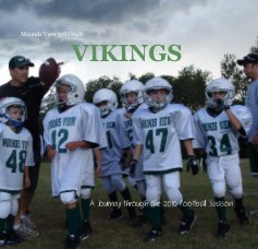 Mounds View 3rd Grade VIKINGS book cover