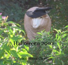 Halloween 2010 book cover