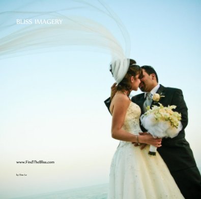 BLISS IMAGERY book cover