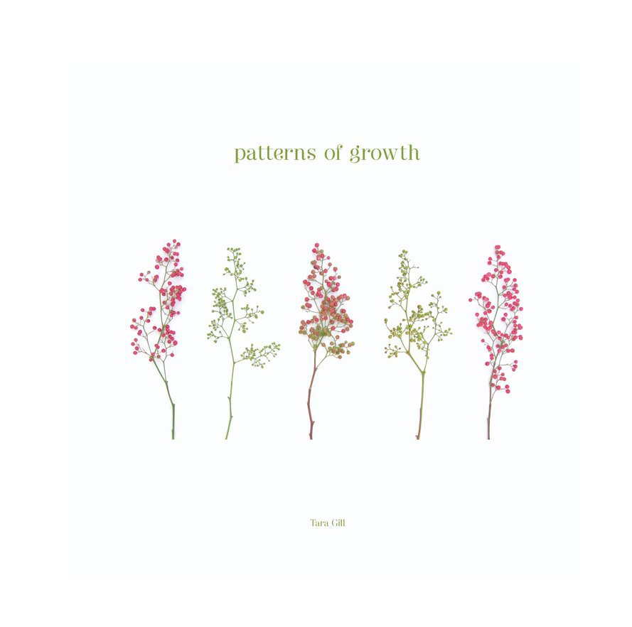 View Patterns of Growth by Tara Gill