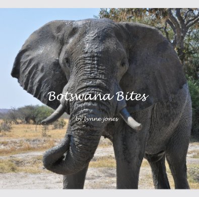 Botswana Bites book cover