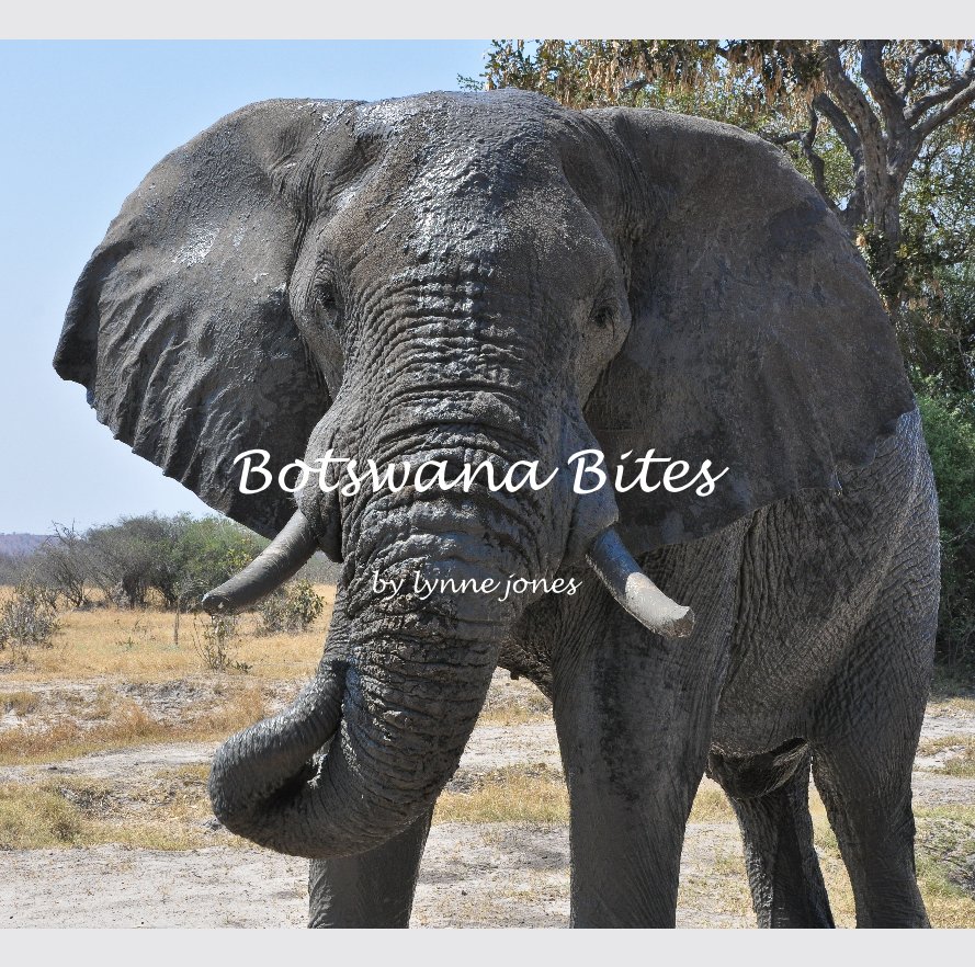 View Botswana Bites by Lynne Jones