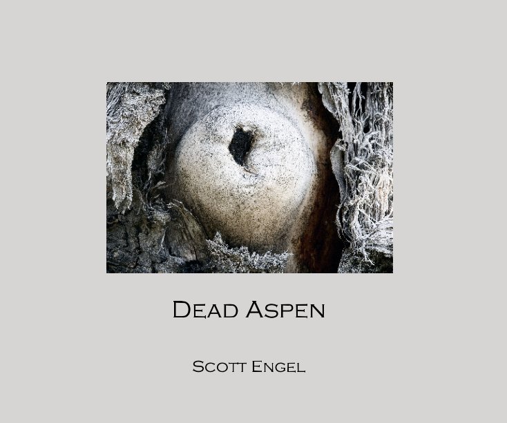 View Dead Aspen by Scott Engel