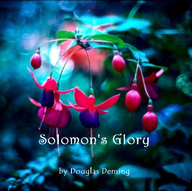 Solomon's Glory book cover