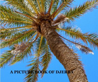 A PICTURE BOOK OF DJERBA book cover