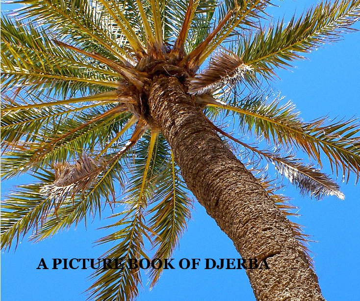 View A PICTURE BOOK OF DJERBA by by