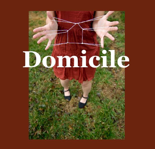 View Domicile by Amanda Smith