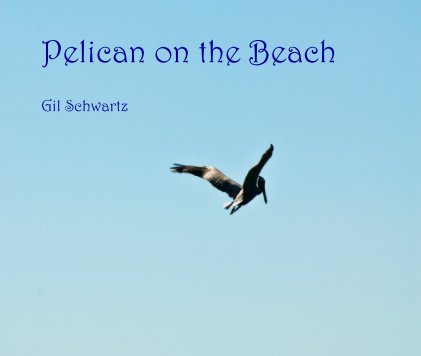 Pelican on the Beach book cover